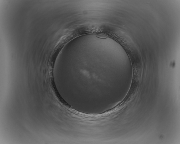 X0000095520035200712141456