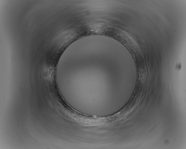 X0000095520036200712141456