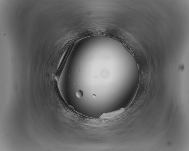 X0000095520037200712141456