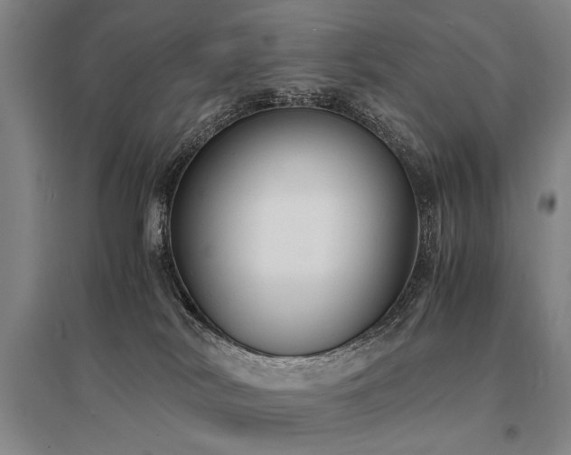 X0000095520038200712141456