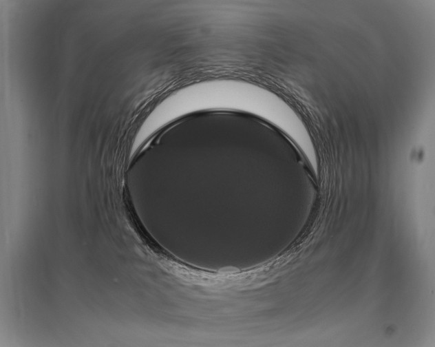 X0000095520039200712141456