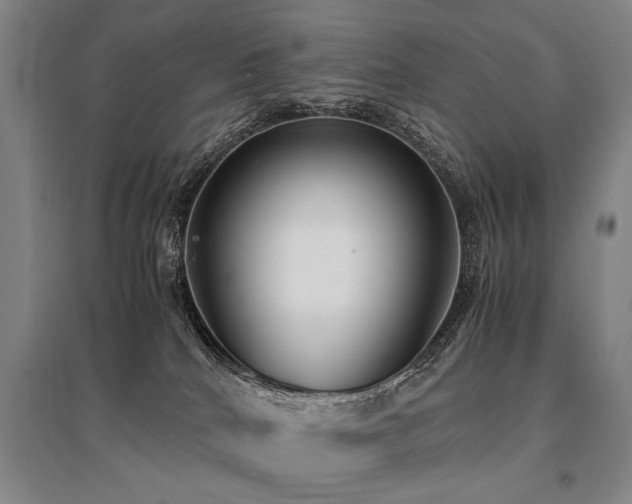 X0000095520040200712141456