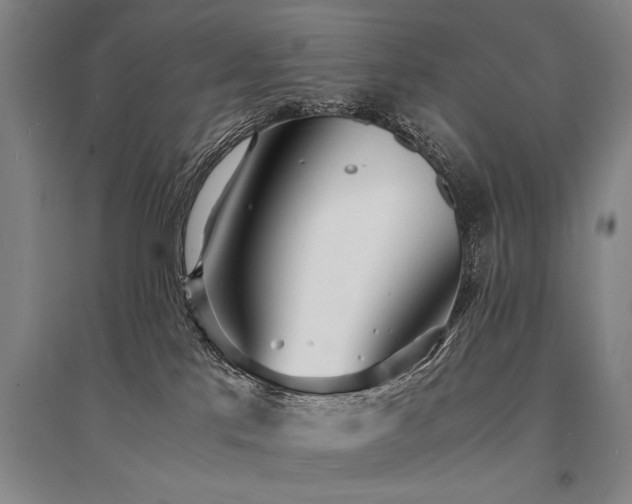 X0000095520041200712141456