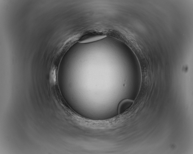 X0000095520042200712141456