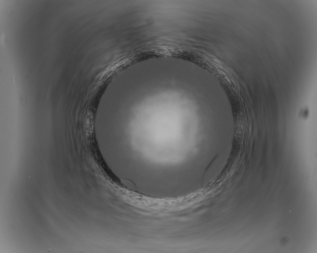 X0000095520043200712141456