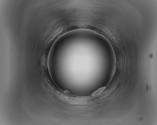 X0000095520044200712141456