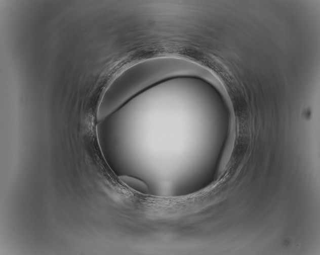 X0000095520045200712141456