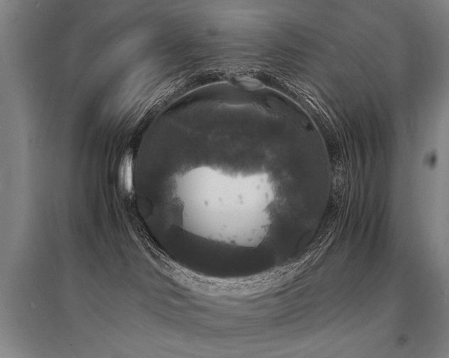 X0000095520046200712141456