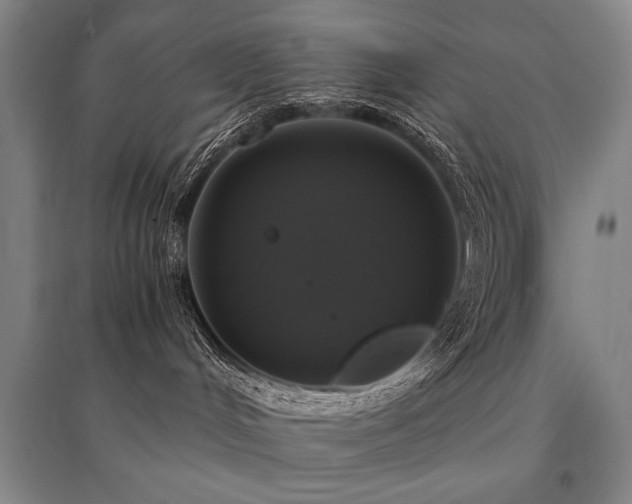 X0000095520048200712141456