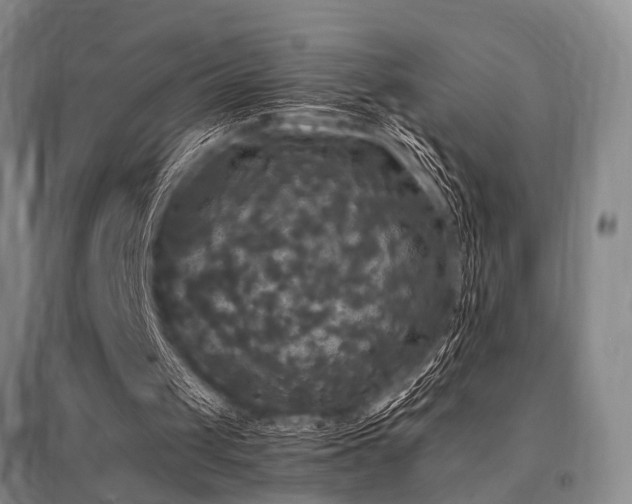 X0000095520049200712141455