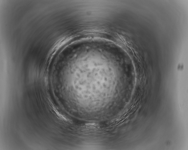 X0000095520050200712141455