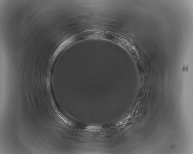 X0000095520051200712141455