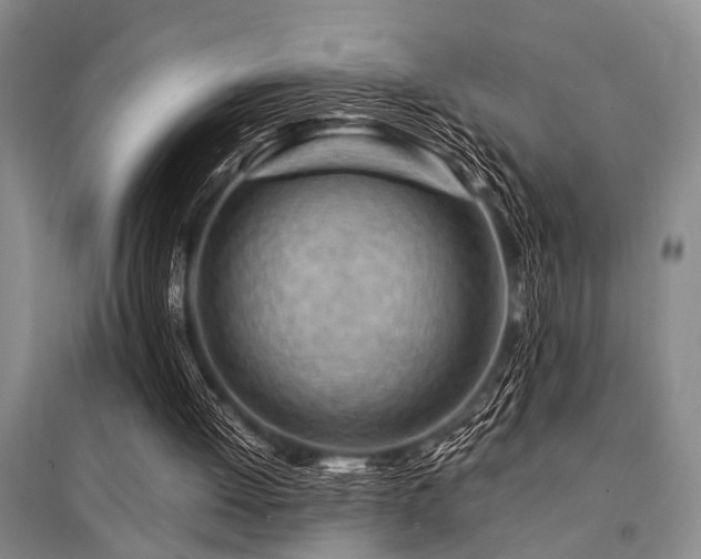 X0000095520052200712141455