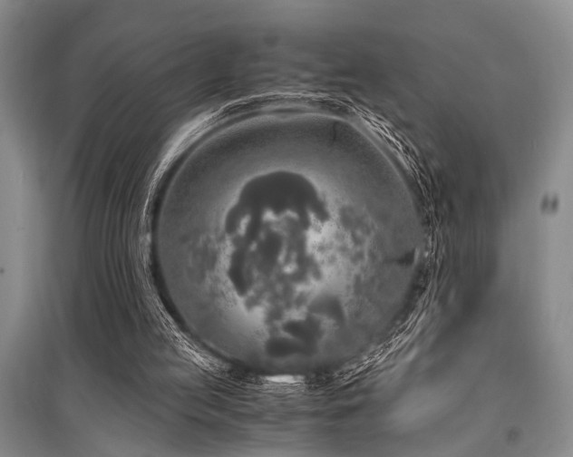 X0000095520053200712141455