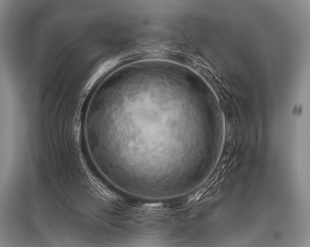 X0000095520054200712141455