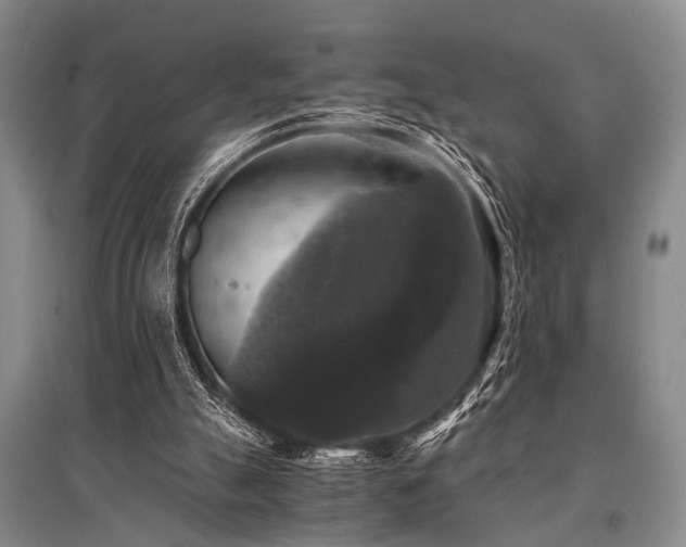 X0000095520055200712141455