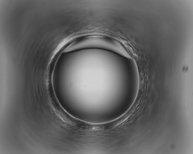 X0000095520056200712141455