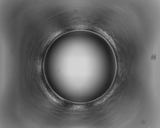 X0000095520057200712141455