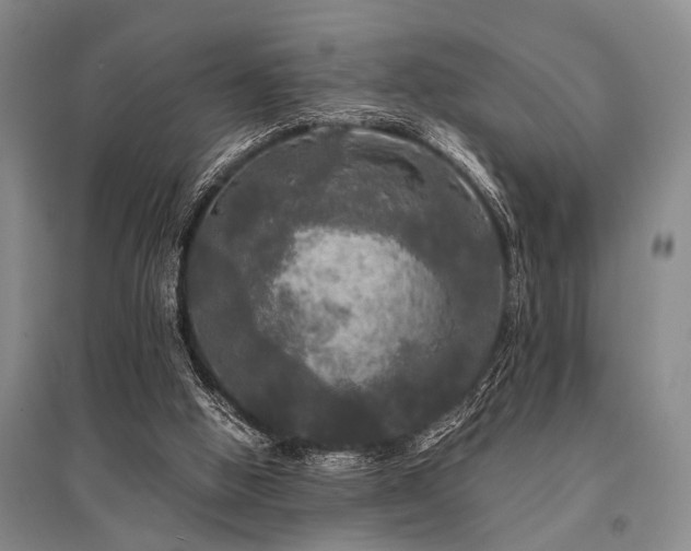 X0000095520058200712141455