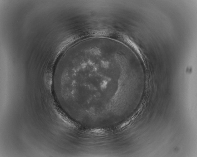 X0000095520059200712141455