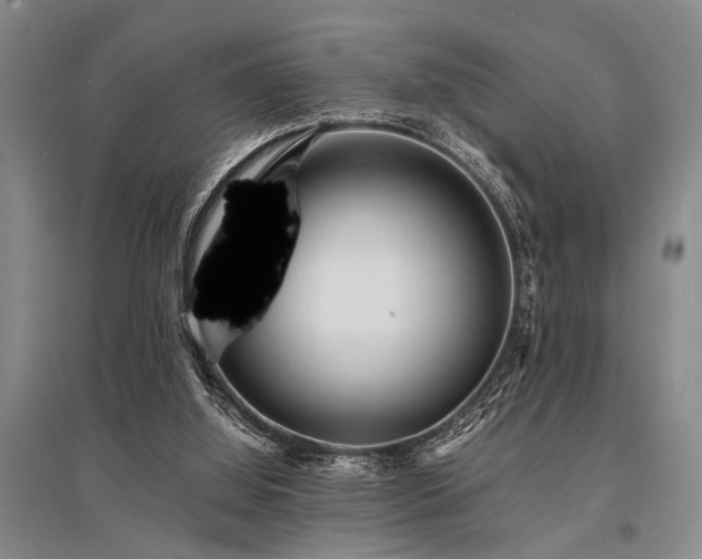 X0000095520060200712141455