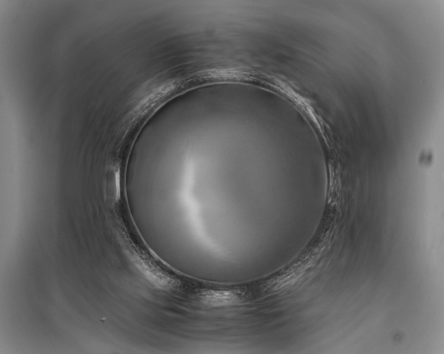 X0000095520061200712141455