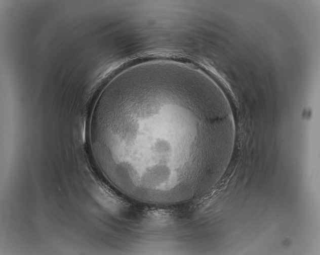 X0000095520062200712141455