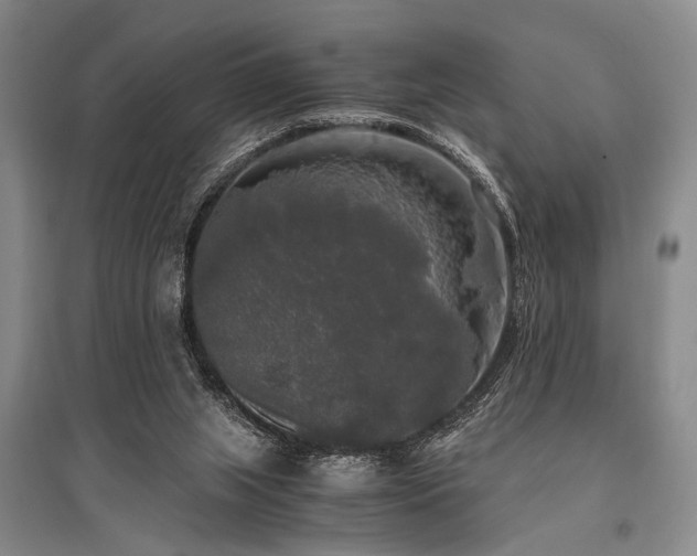 X0000095520063200712141455