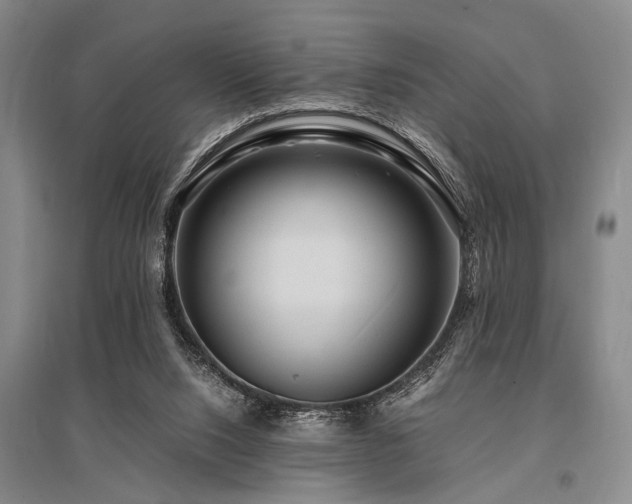 X0000095520064200712141455