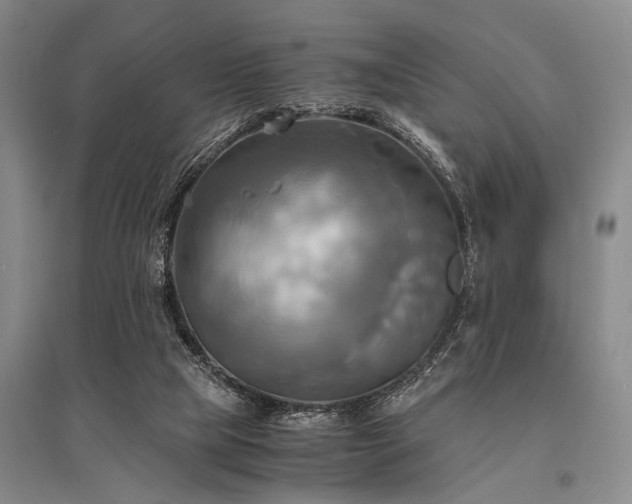 X0000095520065200712141455