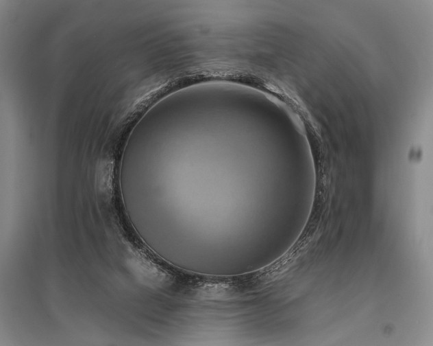 X0000095520066200712141455