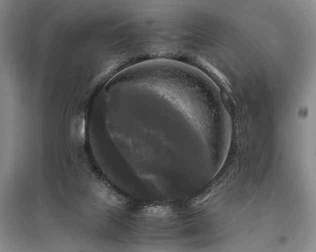 X0000095520067200712141455