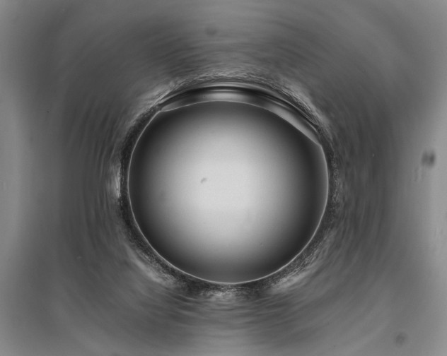 X0000095520068200712141455