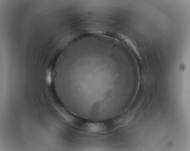 X0000095520069200712141455