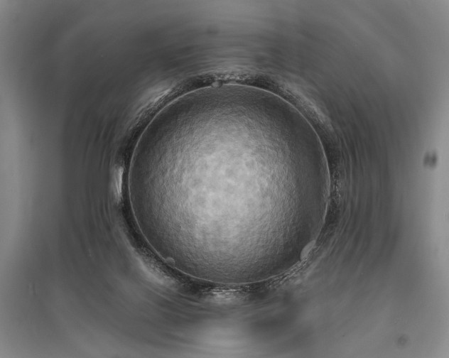 X0000095520070200712141455