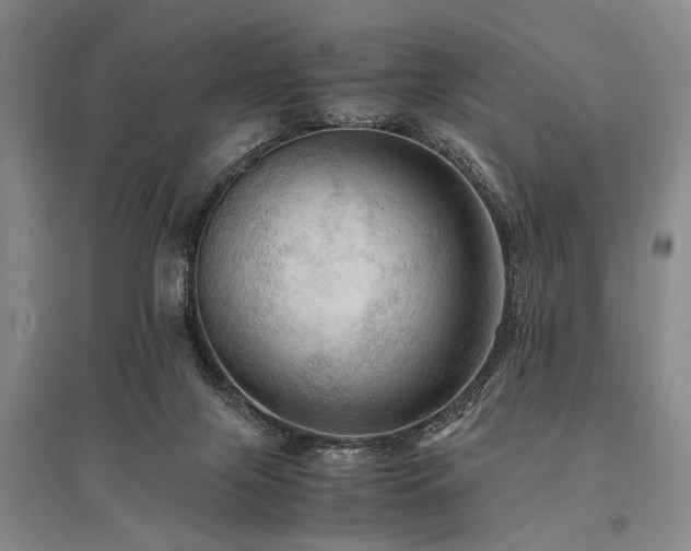 X0000095520071200712141455