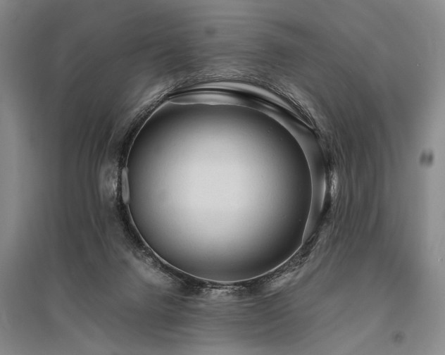 X0000095520072200712141455