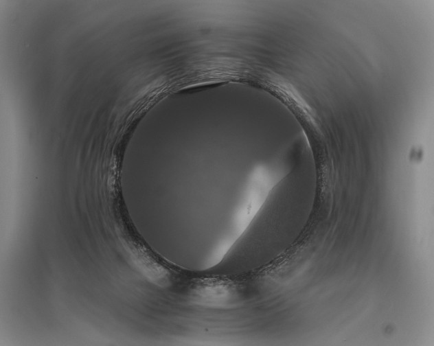 X0000095520073200712141455