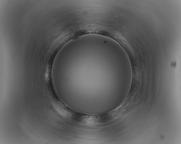 X0000095520074200712141455