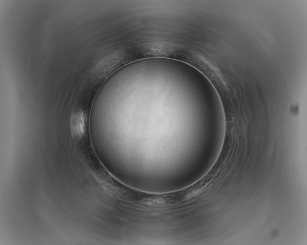 X0000095520075200712141455