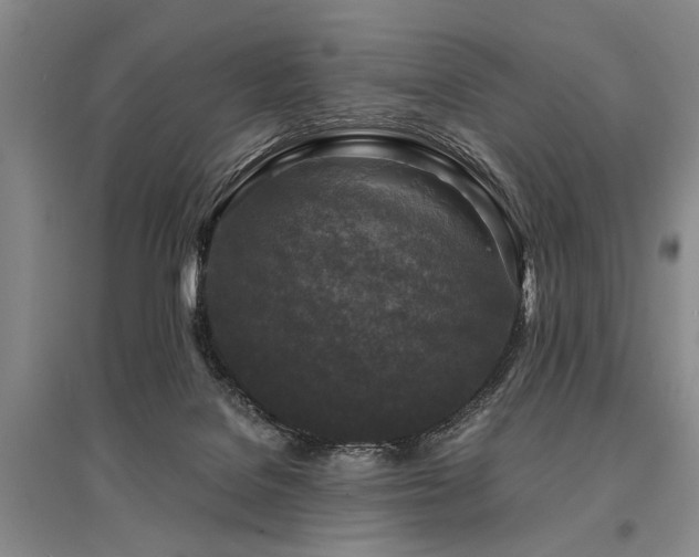 X0000095520076200712141455