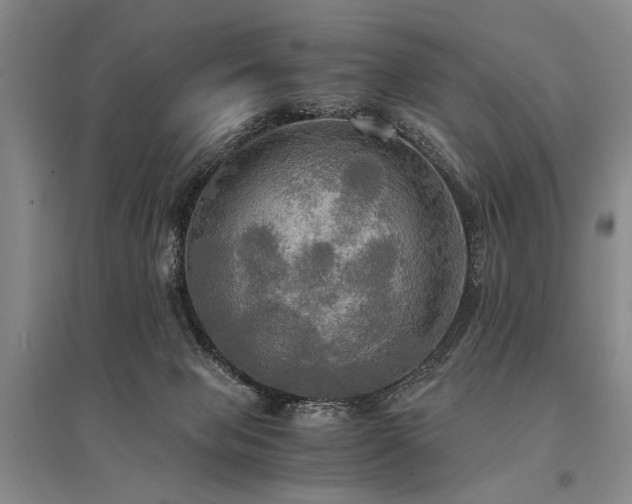 X0000095520077200712141455