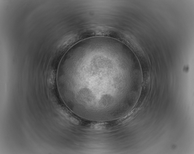 X0000095520078200712141455