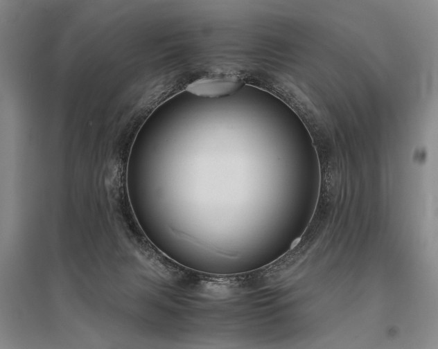 X0000095520079200712141455