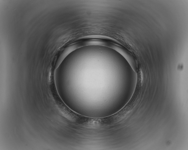 X0000095520080200712141455