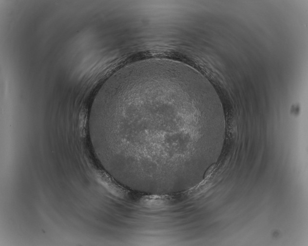 X0000095520082200712141455