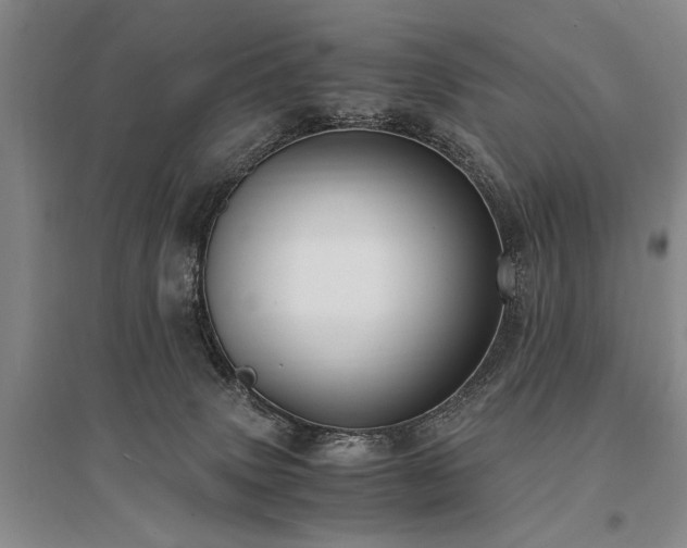 X0000095520083200712141455