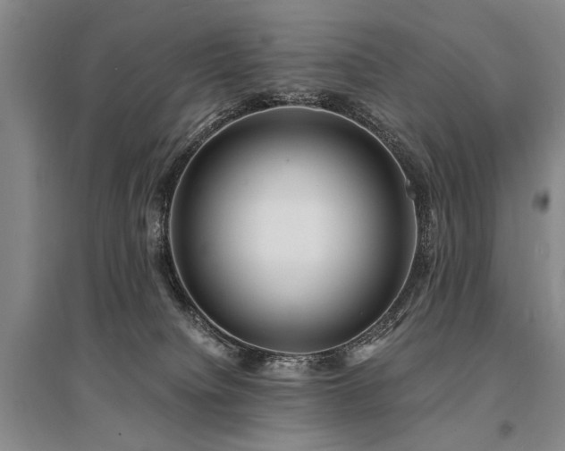 X0000095520084200712141455