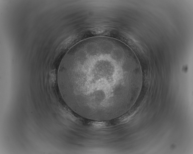 X0000095520085200712141455