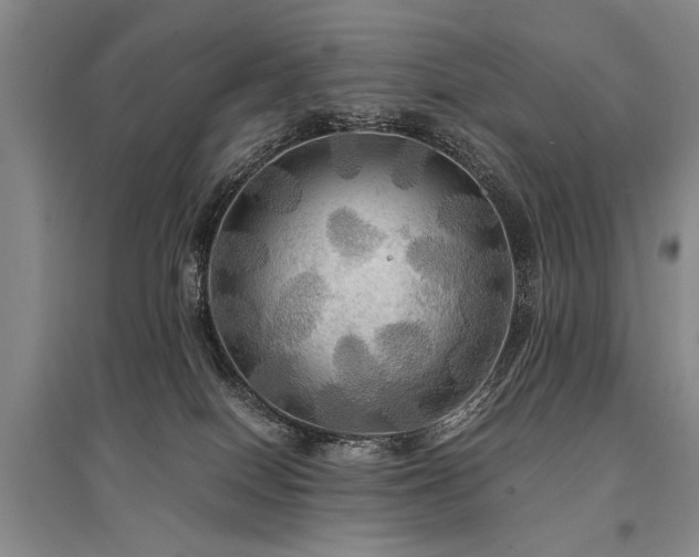 X0000095520086200712141455